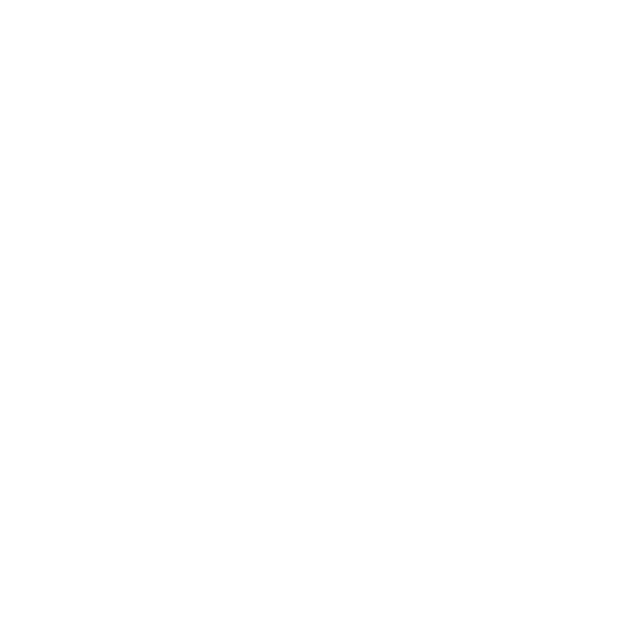 Biker Syndicate